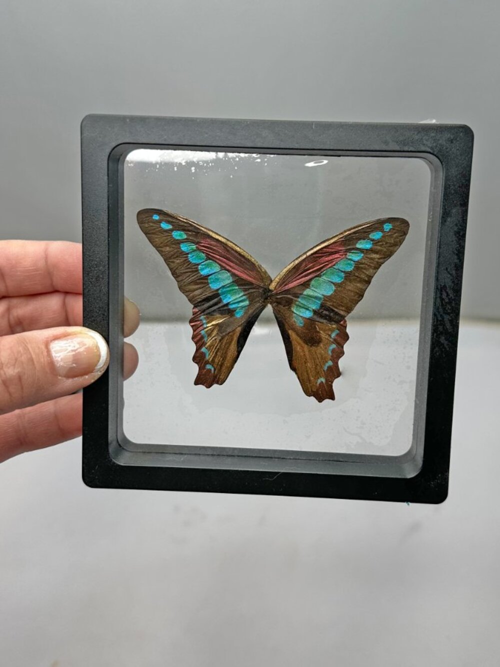 Handpainted Sugarlight Metalic Butterfly